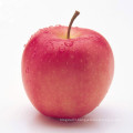 Chinese cheap fresh red juicy fuji apple